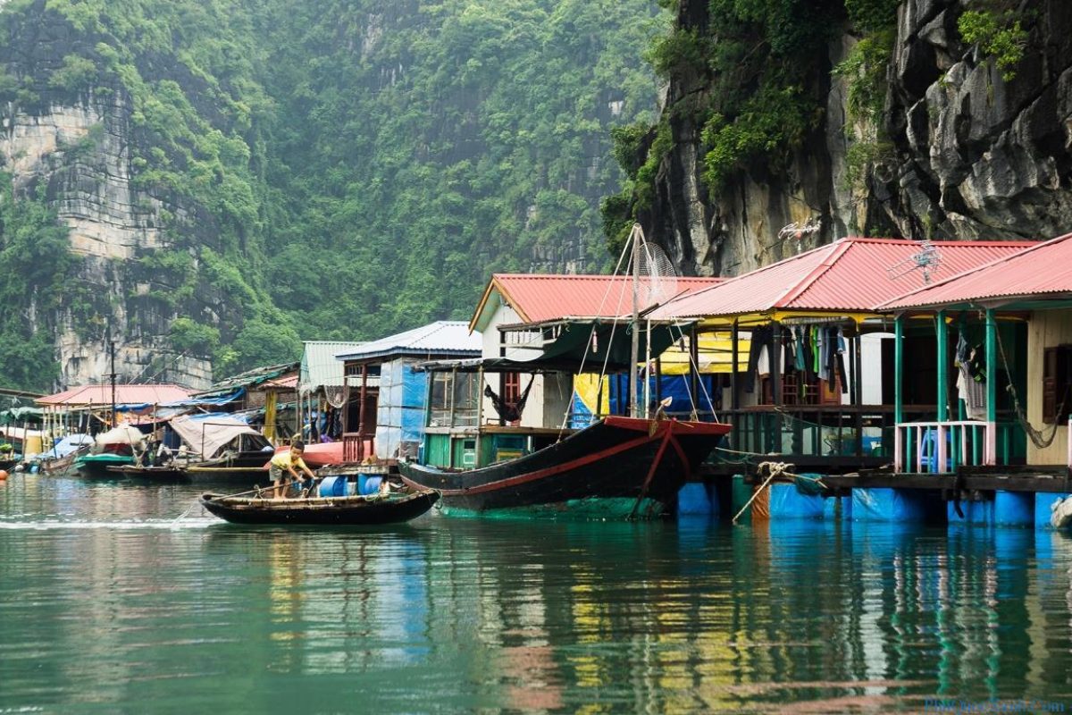 Ganh Dau Fishing Village