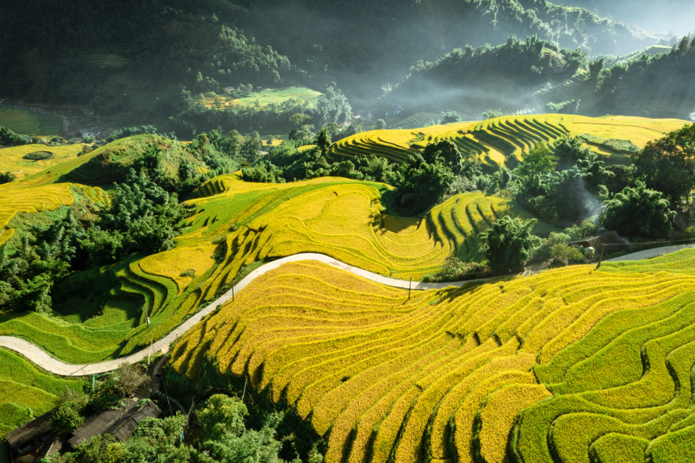 Ta Van Village