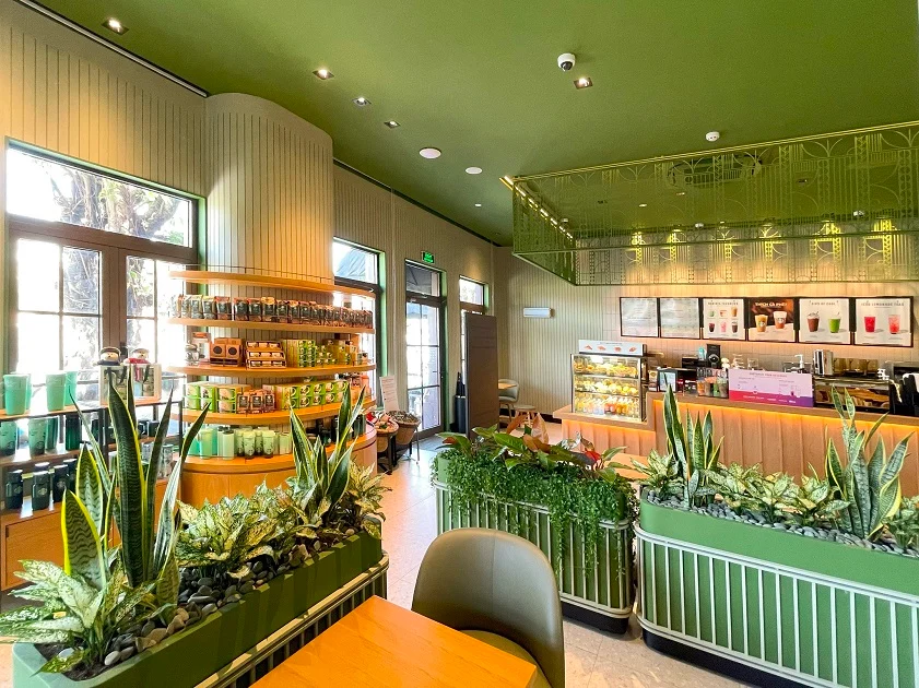 Café Hopping & Cozy Indoor Time