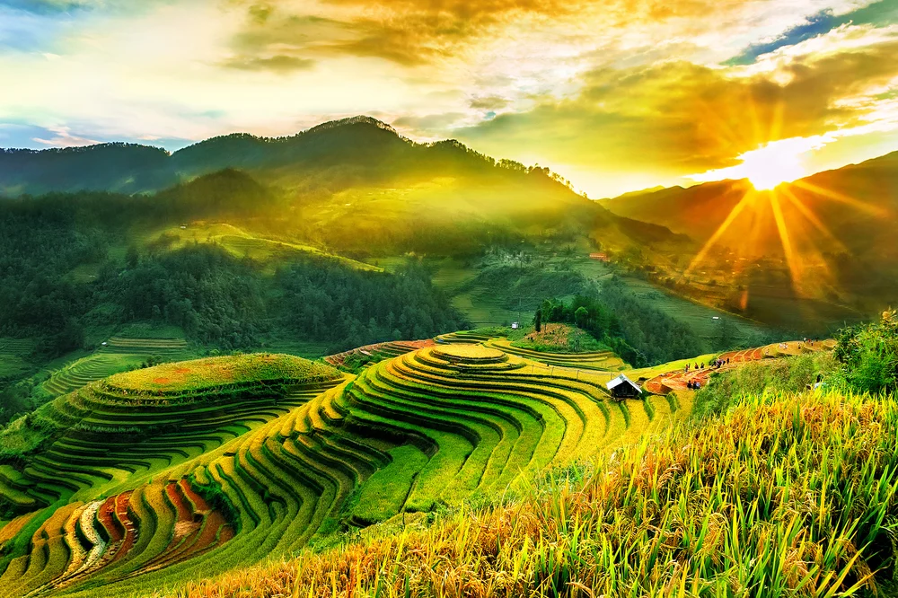 Summer in Sapa