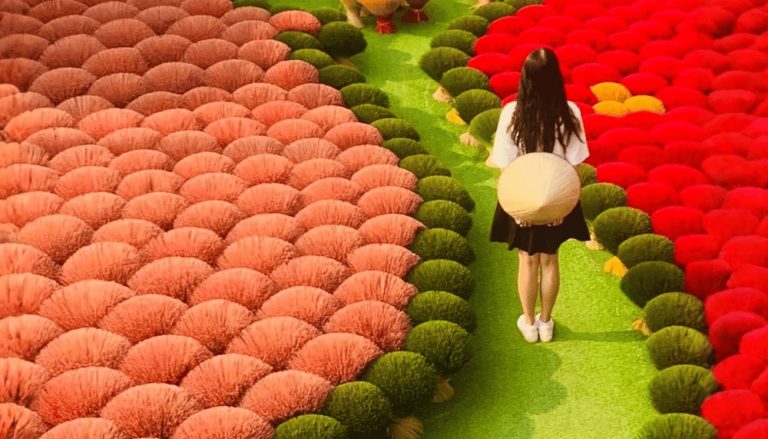 Northern Vietnam 5D4N Package: Best Hanoi, Ninh Binh & Halong Bay Full Day Tours