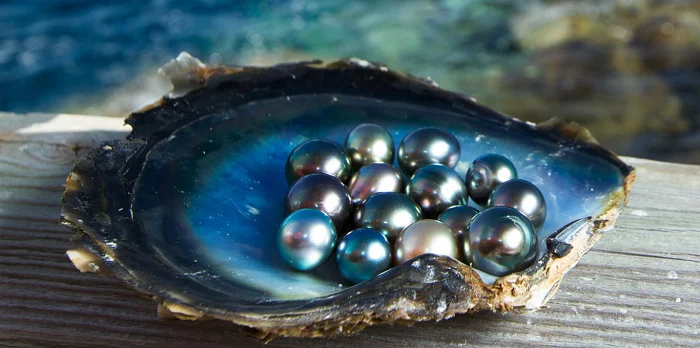 The Natural Origins of Phu Quoc Pearls