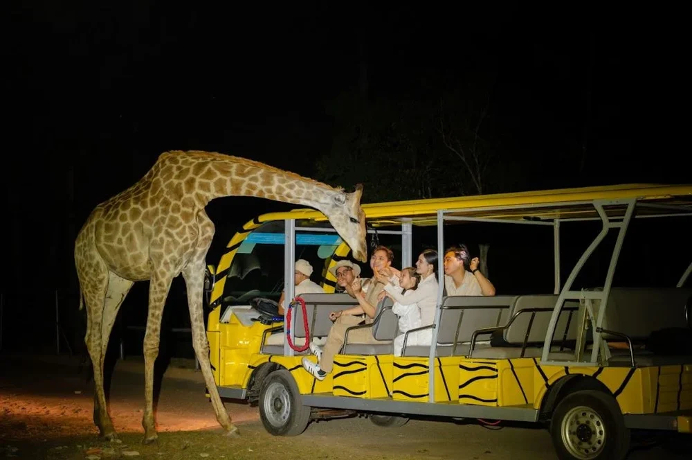 Exploring Wildlife by Open Tram Vehicle
