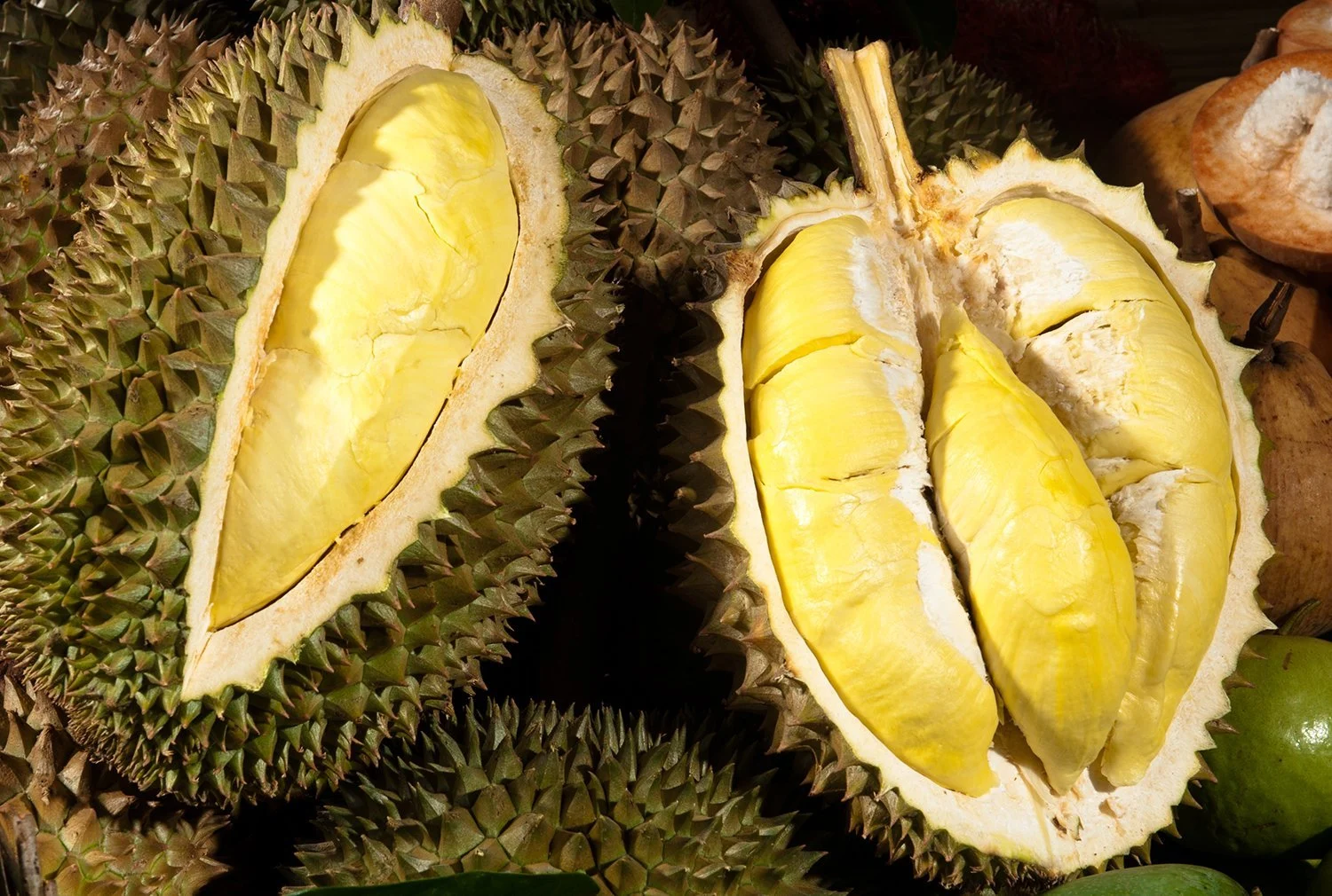 Durian